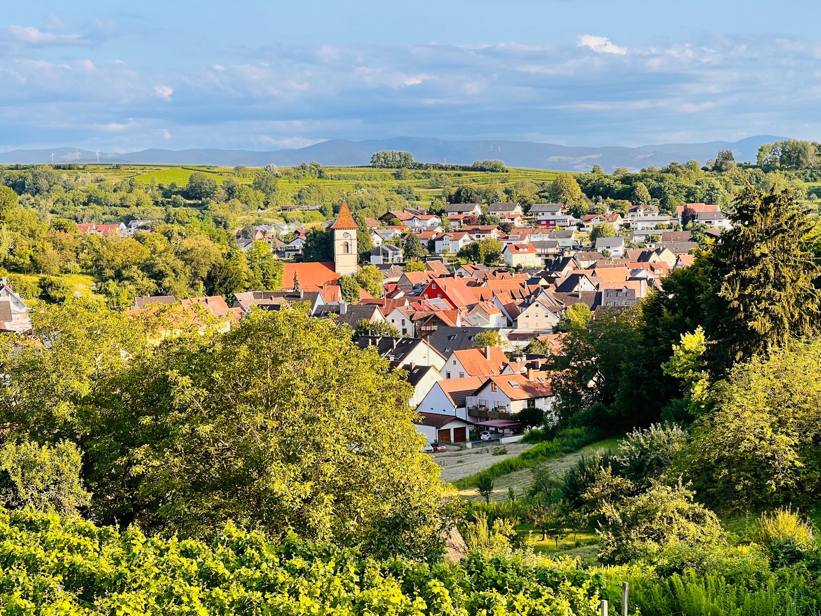 Blick über Malterdingen mit Kirche, Weinbergen und Schwarzwald im Hintergrund